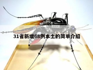 31省新增68例本土的简单介绍