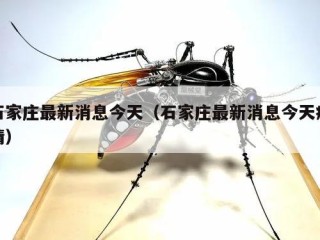 石家庄最新消息今天（石家庄最新消息今天疫情）