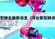 河北新型肺炎最新消息（河北新型肺炎实时动态）