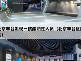 北京丰台出现一核酸阳性人员（北京丰台区阳性）