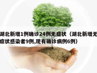 湖北新增1例确诊24例无症状（湖北新增无症状感染者9例,现有确诊病例6例）